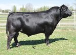 Benefield Substance 8506