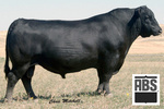 Nichols Extra K205