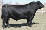 HARB Pendleton 765 J H
