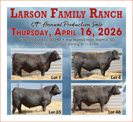 Annual cattle production sale 2026
